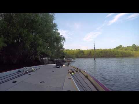 GoPro: Turner Hall - Best Catch 7.15.15 - Fish