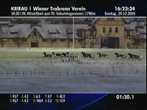 Krieau 20.12.2009 Lauf 07 - Sieger Latin Lover