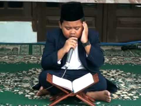 Download Lagu Qori Cilik Muhammad Farhan Mp3 Gratis