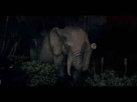 Fyah Roiall - Still (Interlude)