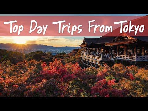 Top 3 Best Fall Day Trips from Tokyo