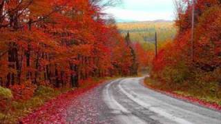 The Motels - Total Control