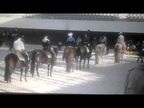 DQHA Novice Youth Western Horsemenship 2015