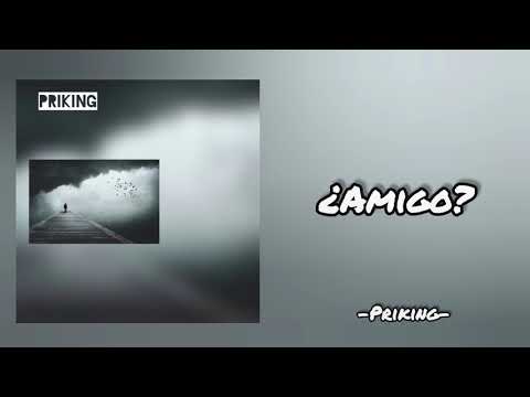 ❌¿Amigo? Priking 💨       (prod.RGO)