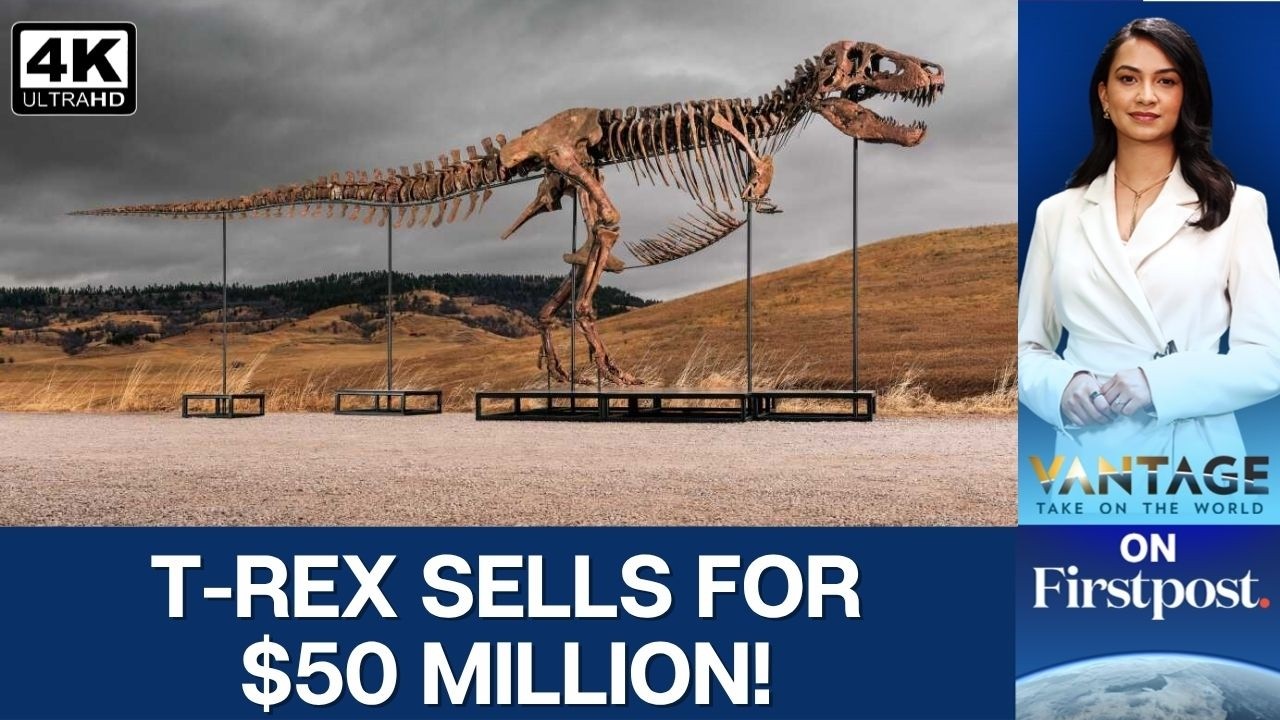 'Gus' Becomes World's Most Expensive T-Rex as Skeleton Sells for Record $50.1 Million | Vantage | 4K