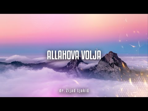 ALLAHOVA VOLJA - Vasitijska akida #20 - dr. Zijad Ljakić