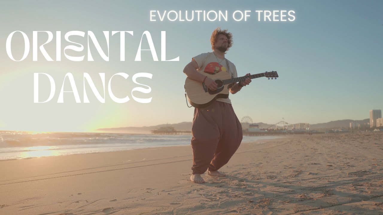 Promotional video thumbnail 2 for Evolution of Trees