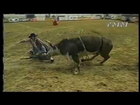 Hollywood bucks Cauy Hudson - 00 PBR Columbus, GA