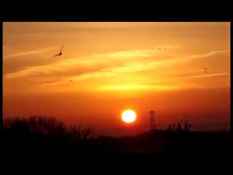 VIDEO SONGS-1th Video Song