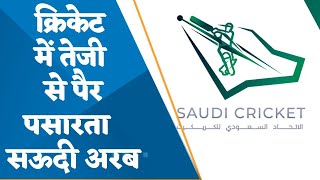 Saudi Arabia set to create ‘world's richest’ T20 cricket league