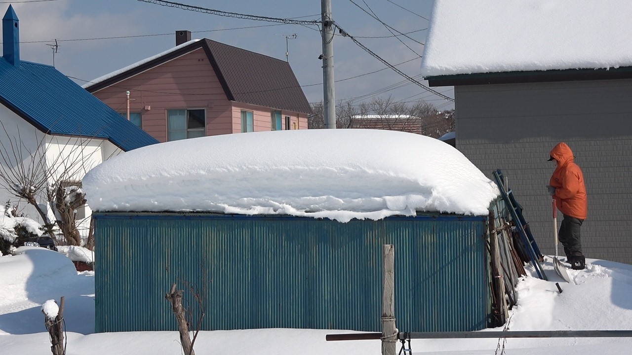 屋根の雪下ろし ２🌈 25 26 シーズン