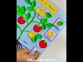 Parts Of Plants Science Project Model Sciencetlm Tlmmaking Ytshorts Diy Projects