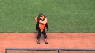 Baltimore Orioles vs Blue Jays (Saturday 7-13-14)
