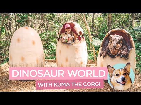 コーギーのクマとの冒険フロリダ州プラントシティのペットに優しい恐竜の世界 (Adventures with Kuma the Corgi: Pet-friendly Dinosaur World in Plant City, Florida)