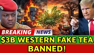 Why Traore Banned $3B in Western Detox Teas for an African Leaf?