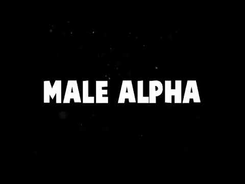 Male alpha Remix (Merci Seb)