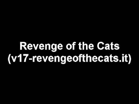 Skaven - Revenge of the Cats