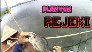 Download lagu Mancing Ngampul! Di Rawa Pening(RWP)Spot Kali Galeh mp3 Download lagu Mancing Ngampul! Di Rawa Pening(RWP)Spot Kali Galeh mp3
