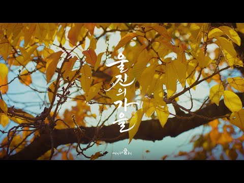 당신의 가을은 어땠나요?