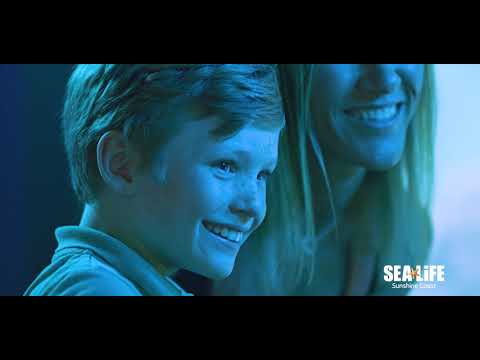 SEA LIFE Sunshine Coast