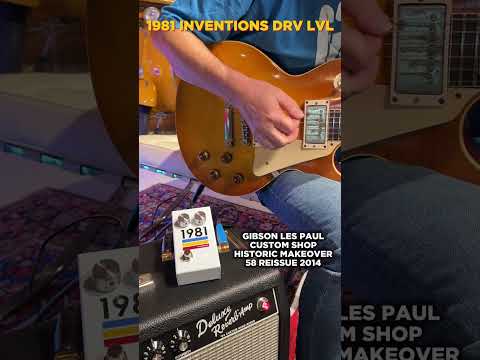 Immagine 1981 Inventions DRV Singolo LVL Full-Range Overdrive (EFF_00001) - 7
