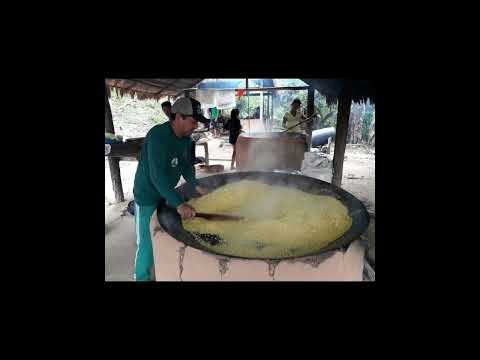 De Urucará ao Uatumã - Amazonas Sustentável