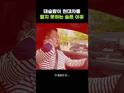 테슬람 현대차에 제대로 물렸다ㅋㅋ