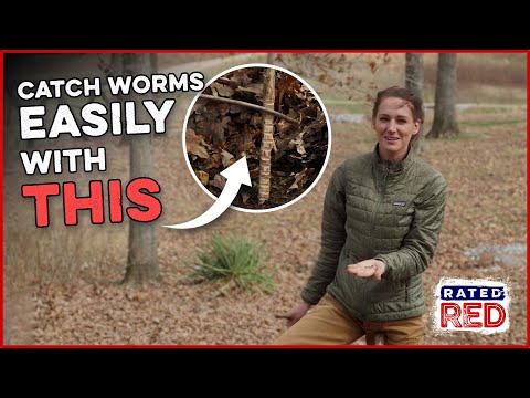 Abby Casey's Guide To Worm Grunting | Catching Worms for Fishing