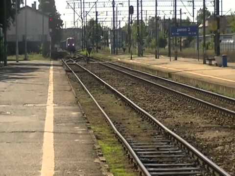 WŁOCŁAVIA WŁOCŁAWEK. Zapowiedź wyjazdu do Torunia na mecz z elaną