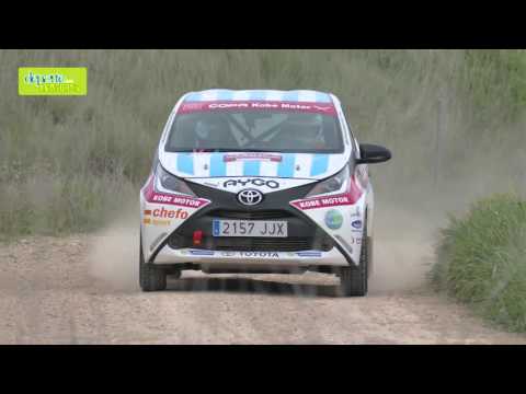 II Rally Navarra 2016 (8)