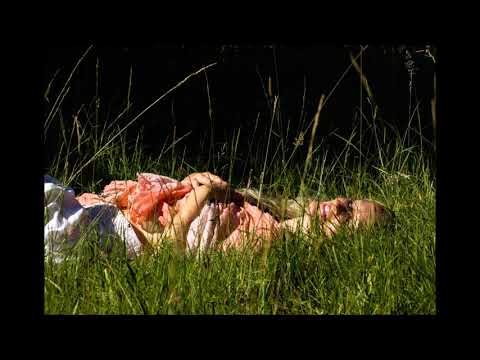 MEDITACE - PROPOJENÍ SE ZEMÍ - UZEMNĚNÍ