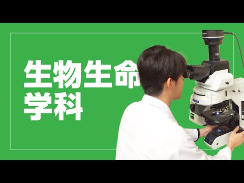 美術学科 崇城大学　生物生命学部　生物生命学科　2024