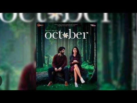 October full movie ll Varun Dhawan ll new superhit movie ll 