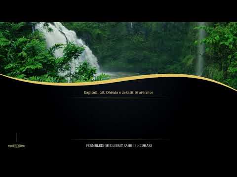 Sahih Buhari - Hadith 733 - Dhënia e zekatit të afërmve