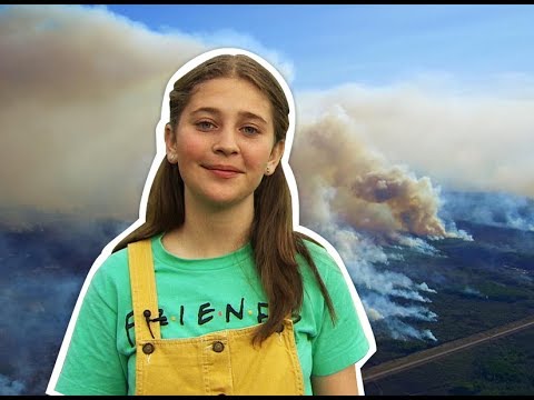 What’s the impact of wildfire smoke on kids? | CBC Kids News
