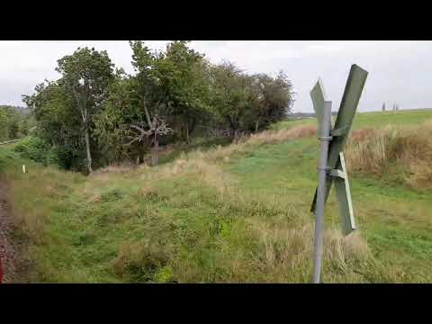 Harzer Schmalspurbahn 2023 / Die Selketalbahn am Tag der Deutschen Einheit (03.10.2023)