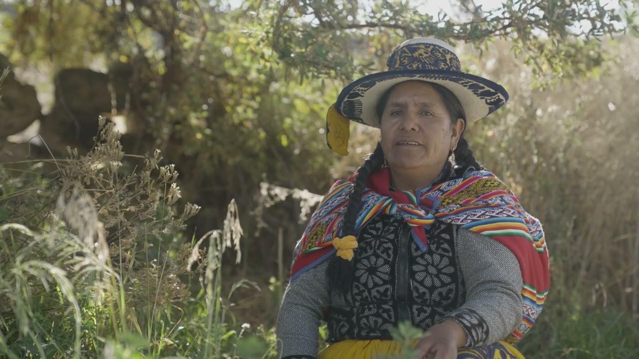 Entre la escasez y la abundancia: La lucha por la seguridad alimentaria en los Andes - Video resumen