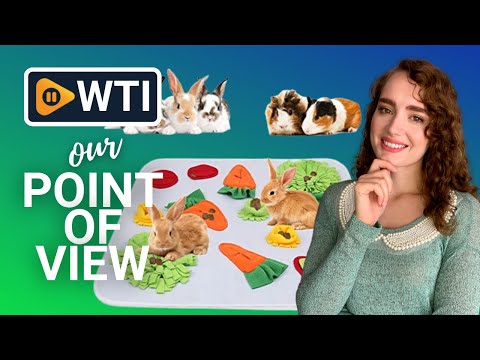 GINDOOR Interactive Mats - WTI product video review