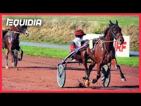 CLEANGAME, SANS FORCER ! | Arrivée du Quinté+ | GNT | 07/11/18