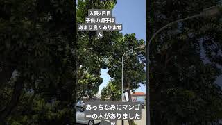 #子供　#食中毒　#入院　#二日目　#可哀想　#バリ島　#インドネシア