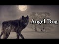 Don Bosco's Angel Dog: Grigio | Ep. 4