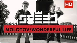 Musik-Video-Miniaturansicht zu Wonderful Life Songtext von Seeed
