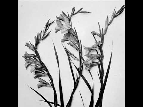 ISORINNE - No Strength Of Sun [2016 / Full Maxi]