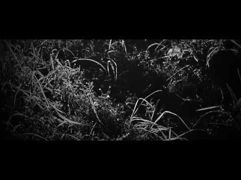 MAXIMONO - The Cannibal (Official Video)