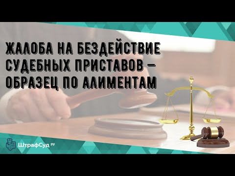 Жалоба на бездействие судебных приставов — образец по алиментам