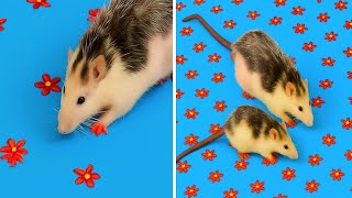 Thumbnail del capítulo