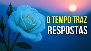 O Tempo Traz Respostas