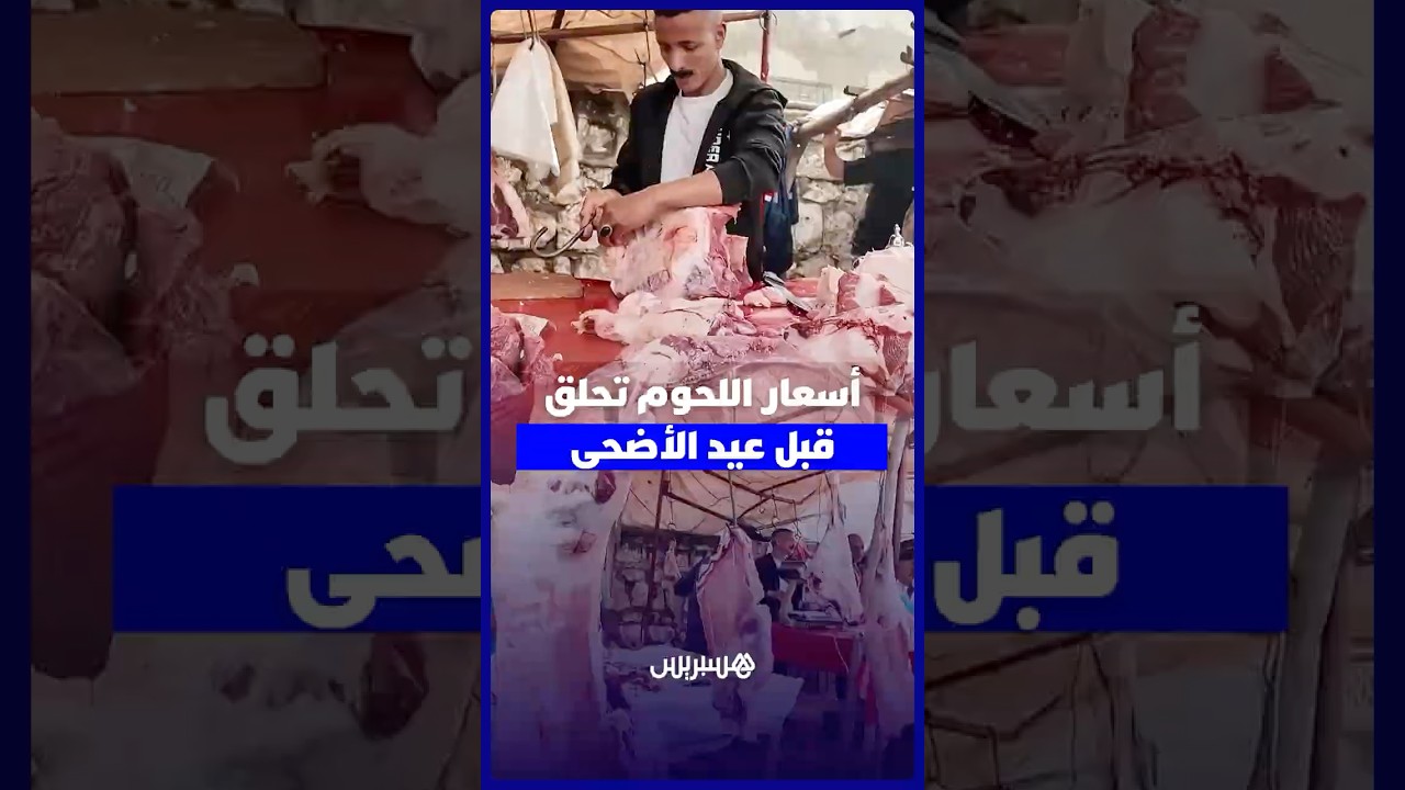 ارتفاع أسعار اللحوم بسوق فم العنصر يثير قلق المواطنين والجزارة مع اقتراب عيد الأضحى thumbnail