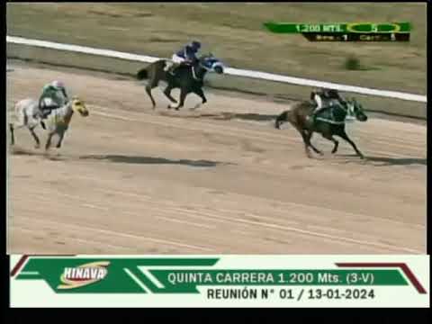 V5 | La Batalladora | Hipódromo Nacional de Valencia |  Reunión 01 | 2024