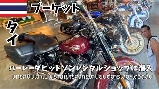 【ハーレーダビッドソン】レンタルショップへ潜入#ハーレーダビッドソン#harleydavidson #プーケット#バイクレンタル#タイ　